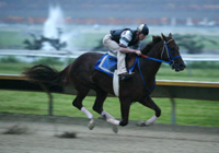 Smarty Jones