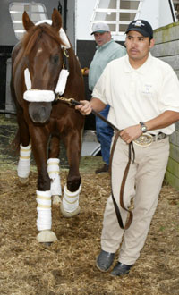 Smarty Jones