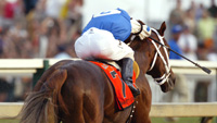 Smarty Jones