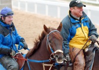 Smarty Jones