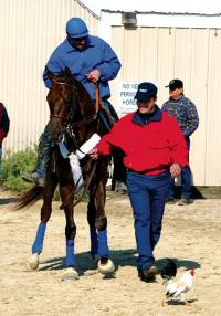 Smarty Jones