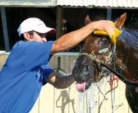 Mario Arriaga & Smarty Jones