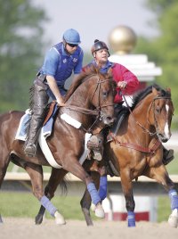 Smarty Jones