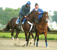 Smarty Jones