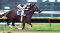Smarty Jones