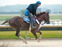 Smarty Jones