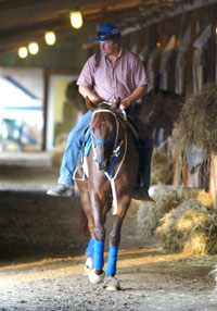 Smarty Jones