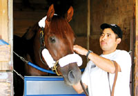 Smarty Jones