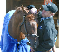 Smarty Jones