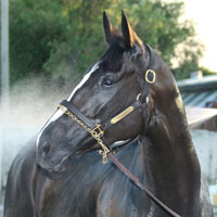 Smokey Stover