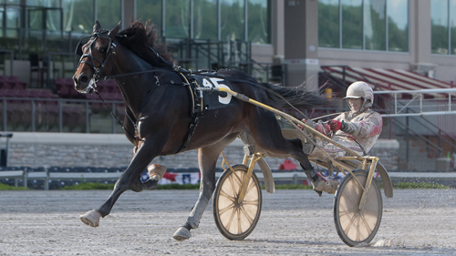 Snowstorm Hanover 7/15/16