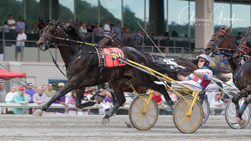 Snowstorm Hanover 7/29/17