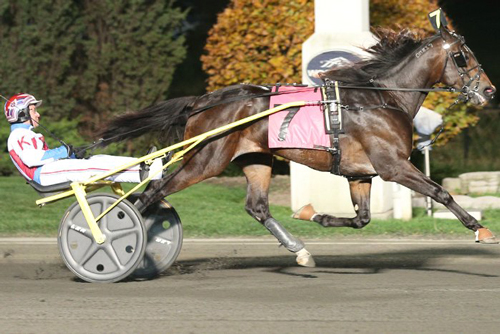 Snowstorm Hanover 11/11/16