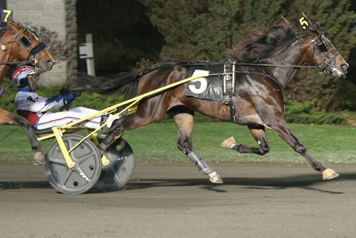 Snowstorm Hanover 11/19/16