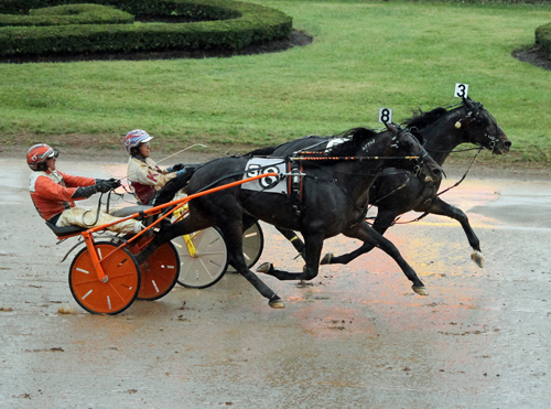 Snowstorm Hanover 10/8/17