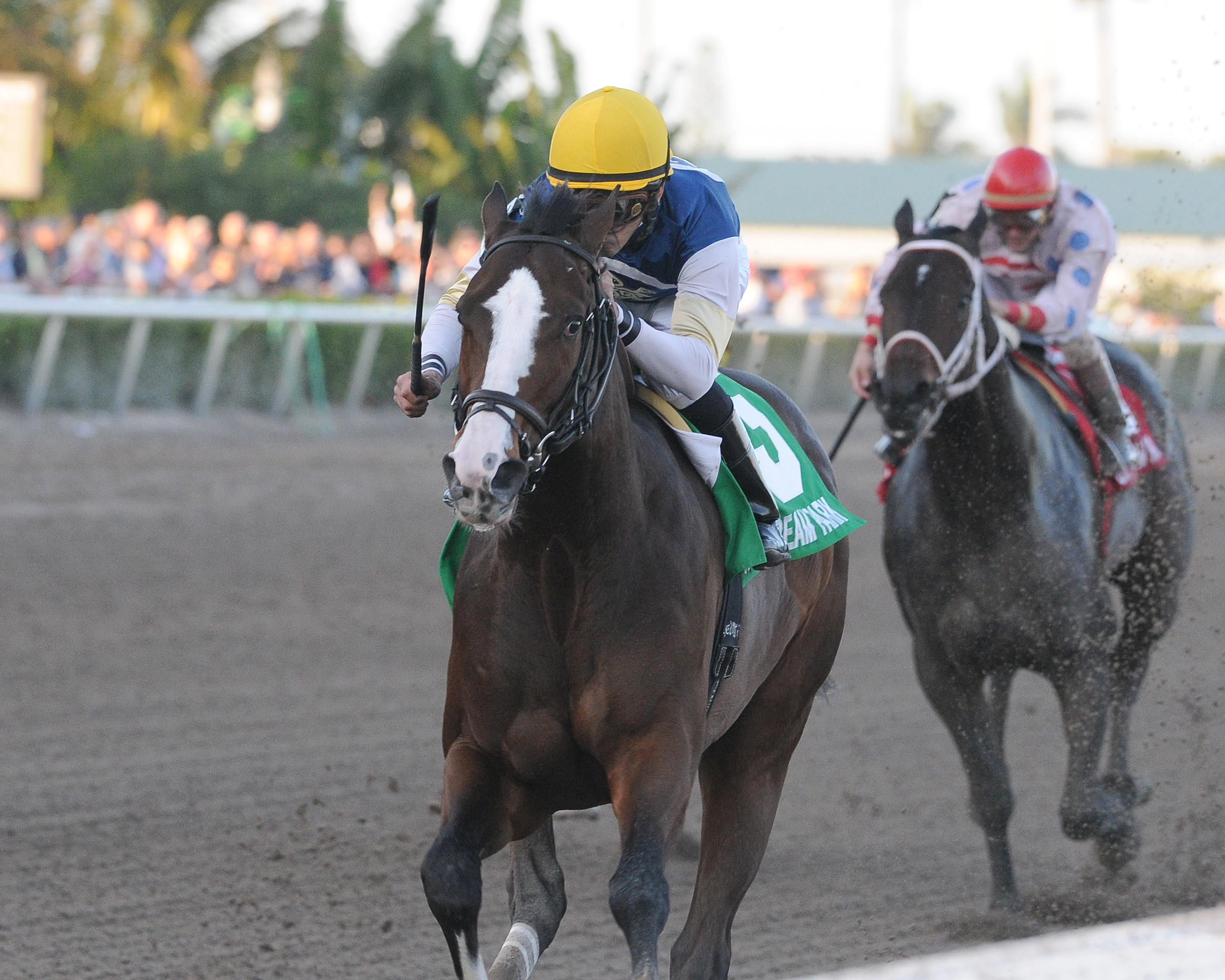 Soaring Empire 1-8-2011