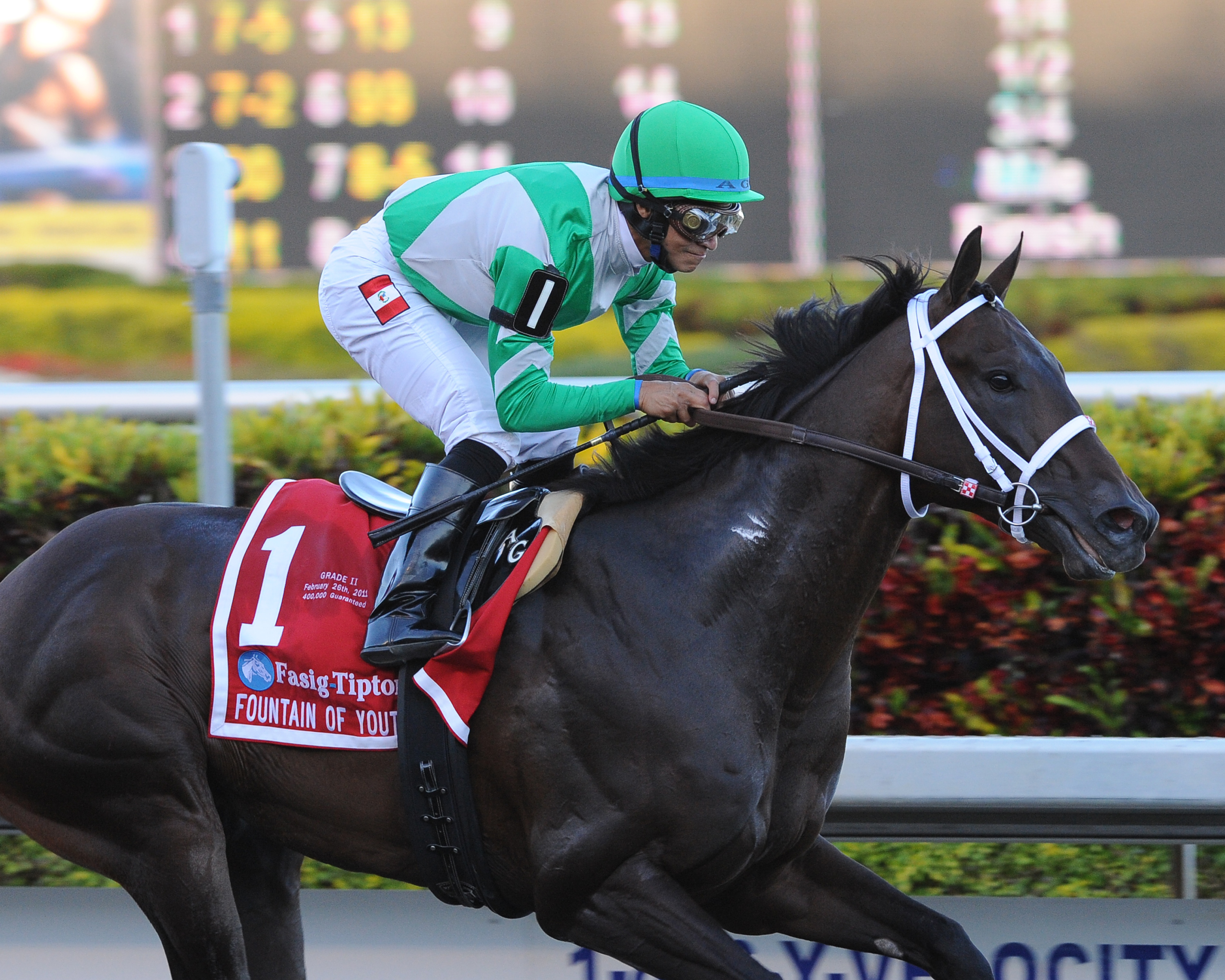 Soldat wins Fountain of Youth