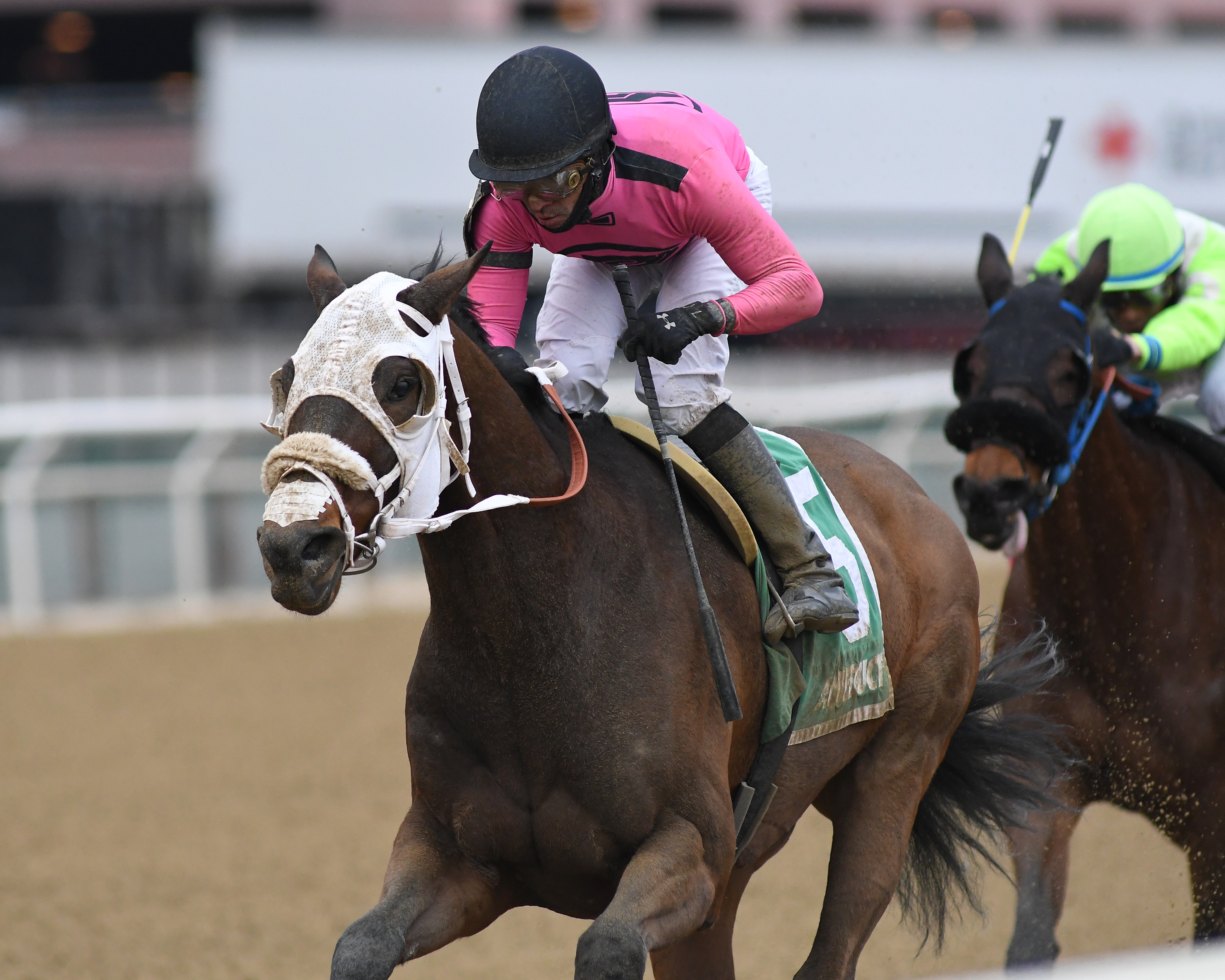 Solid Wager wins the Toboggan