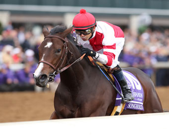 Songbird block