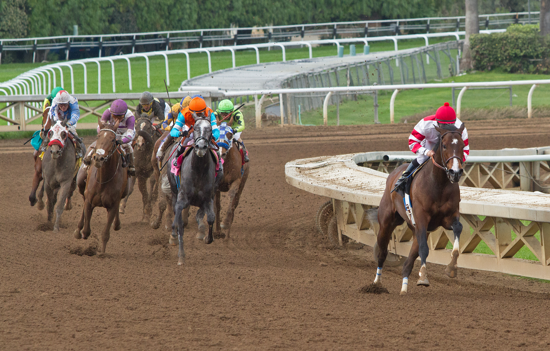 Songbird 3-05-2016