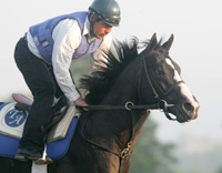 Songster