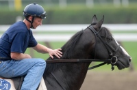 Songster