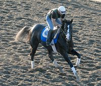 Songster