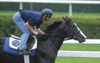 Songster