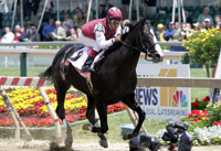 Songster