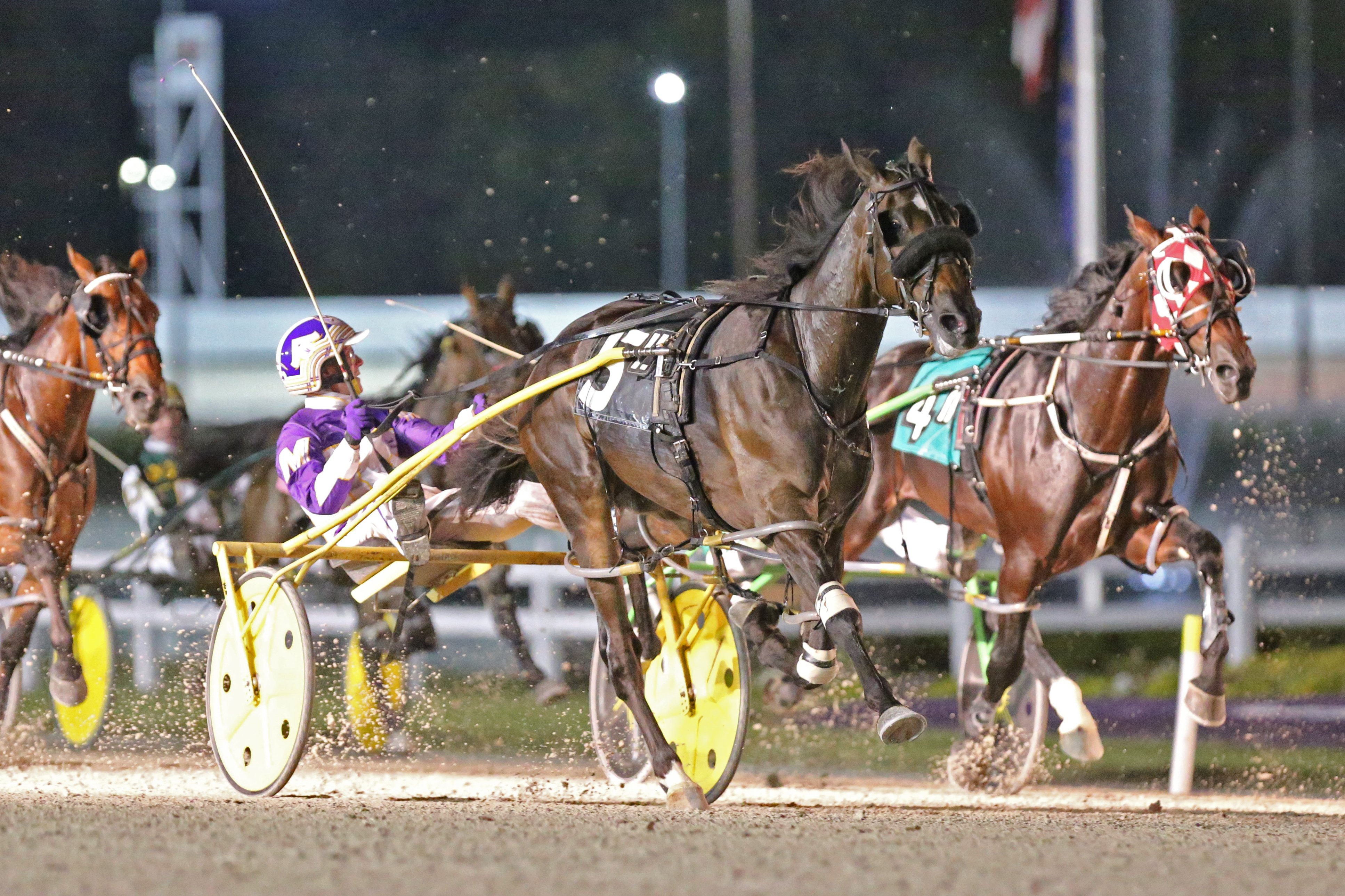 Southwind Gendry 9/25/20