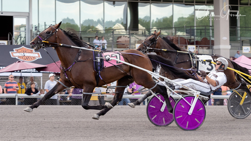 Southwind Ozzi 8/23/19