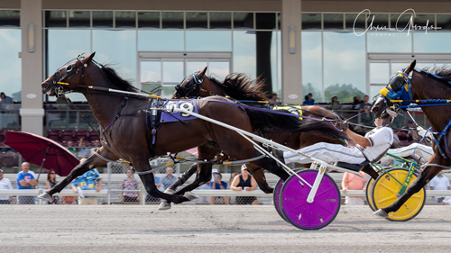 Southwind Ozzi 7/20/19