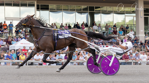 Southwind Ozzi 7/27/19