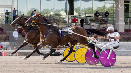 Southwind Ozzi 9/7/19