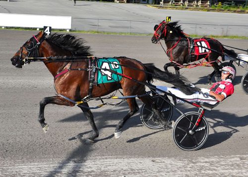 Southwind Petyr 8/28/20