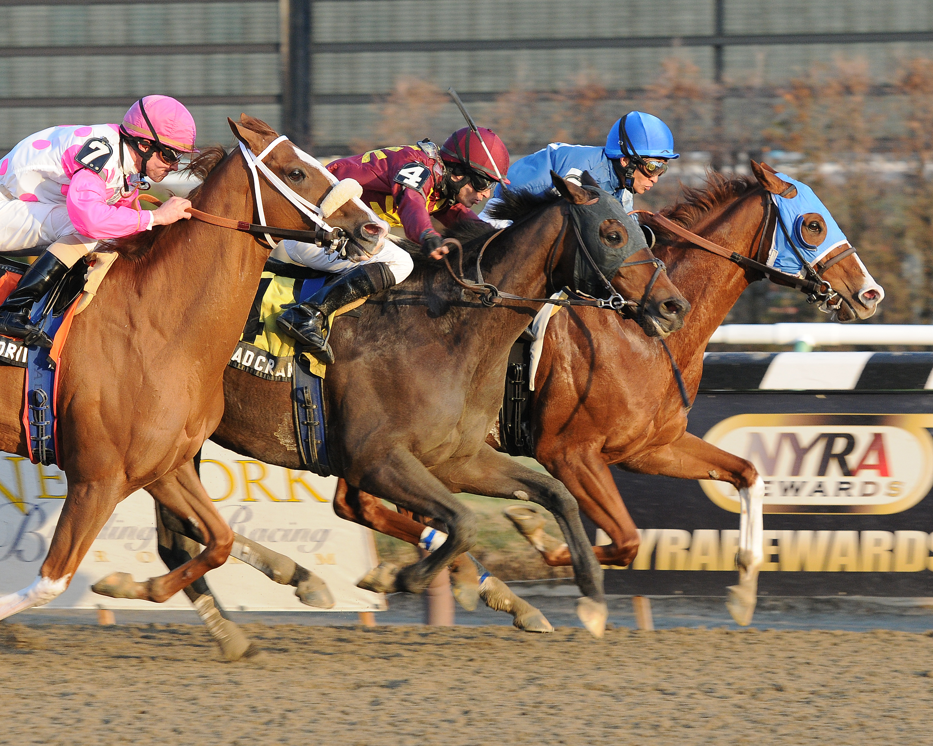 Spa City Fever 12-31-2011