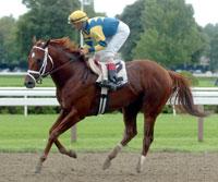 Speightstown