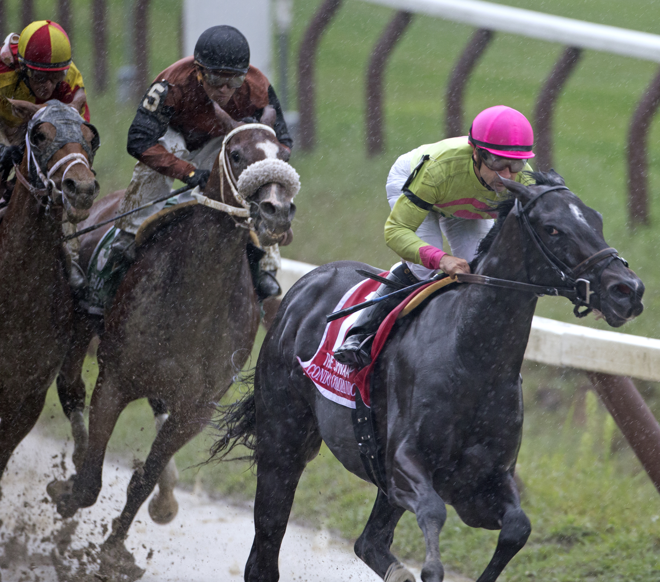 Condo Commando wins 2014 Spinaway
