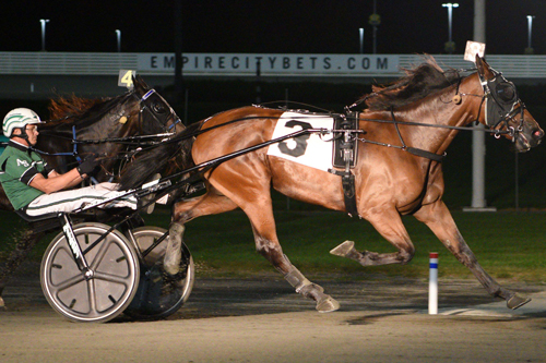 Splash Blue Chip 8-9-21