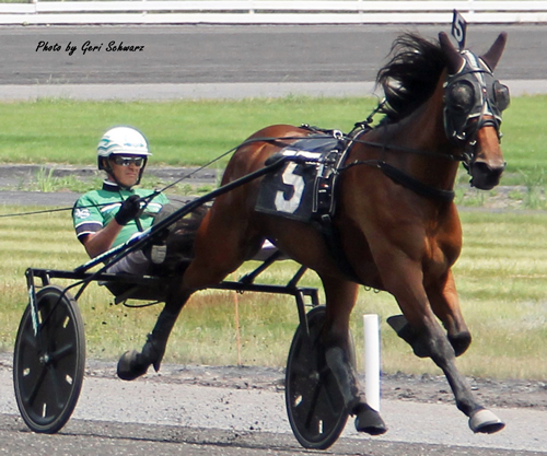Splash Blue Chip 7-26-21