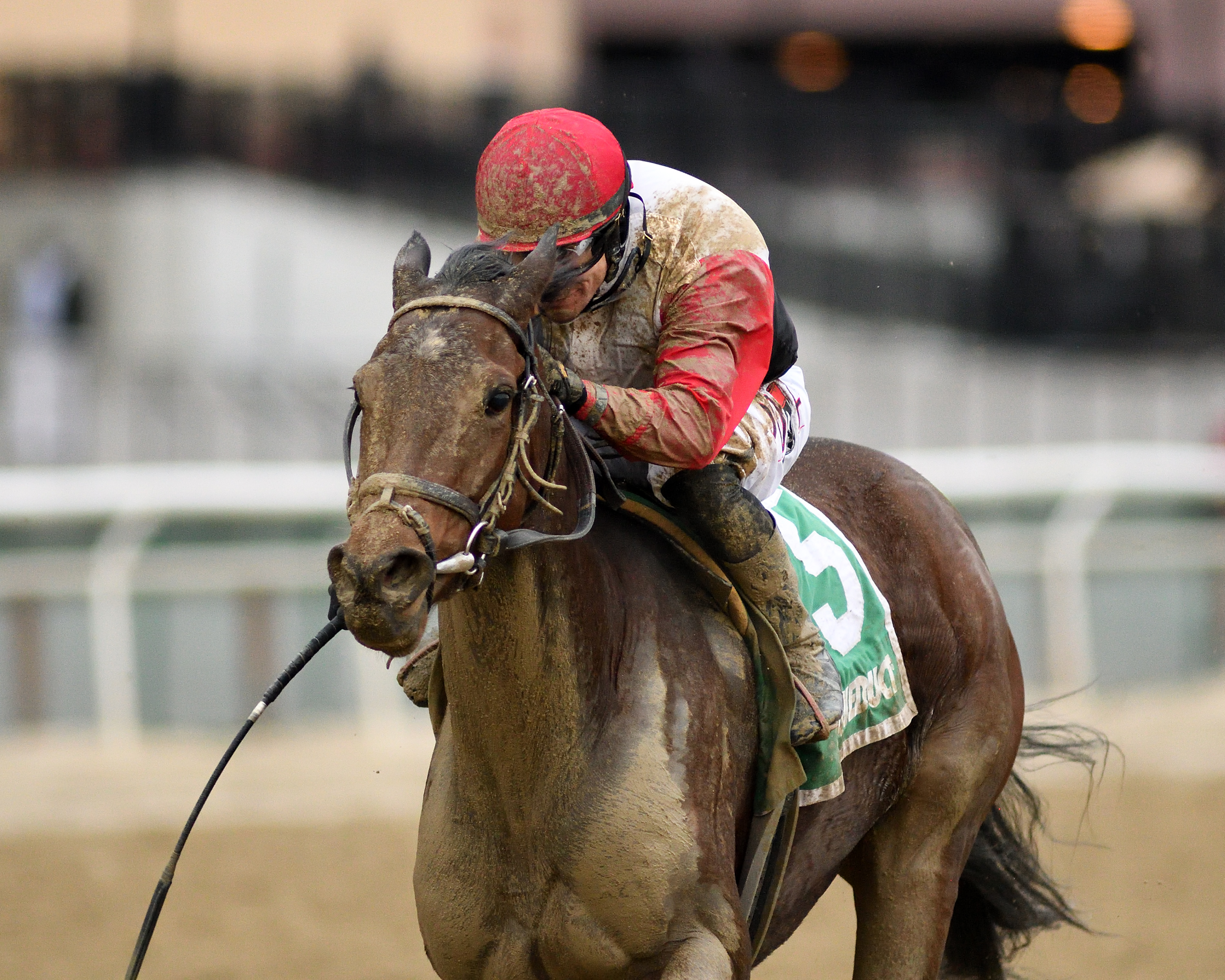 Split Time wins 2018 Bay Ridge