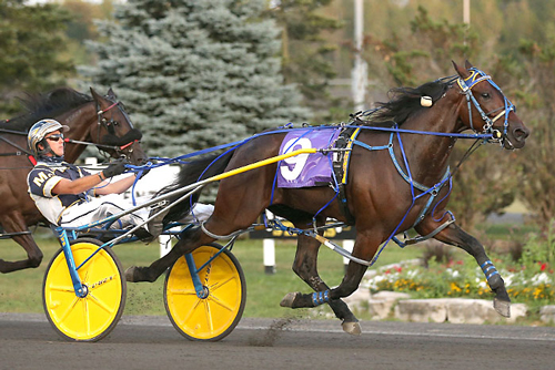 Springbridge Duel 7/18/20