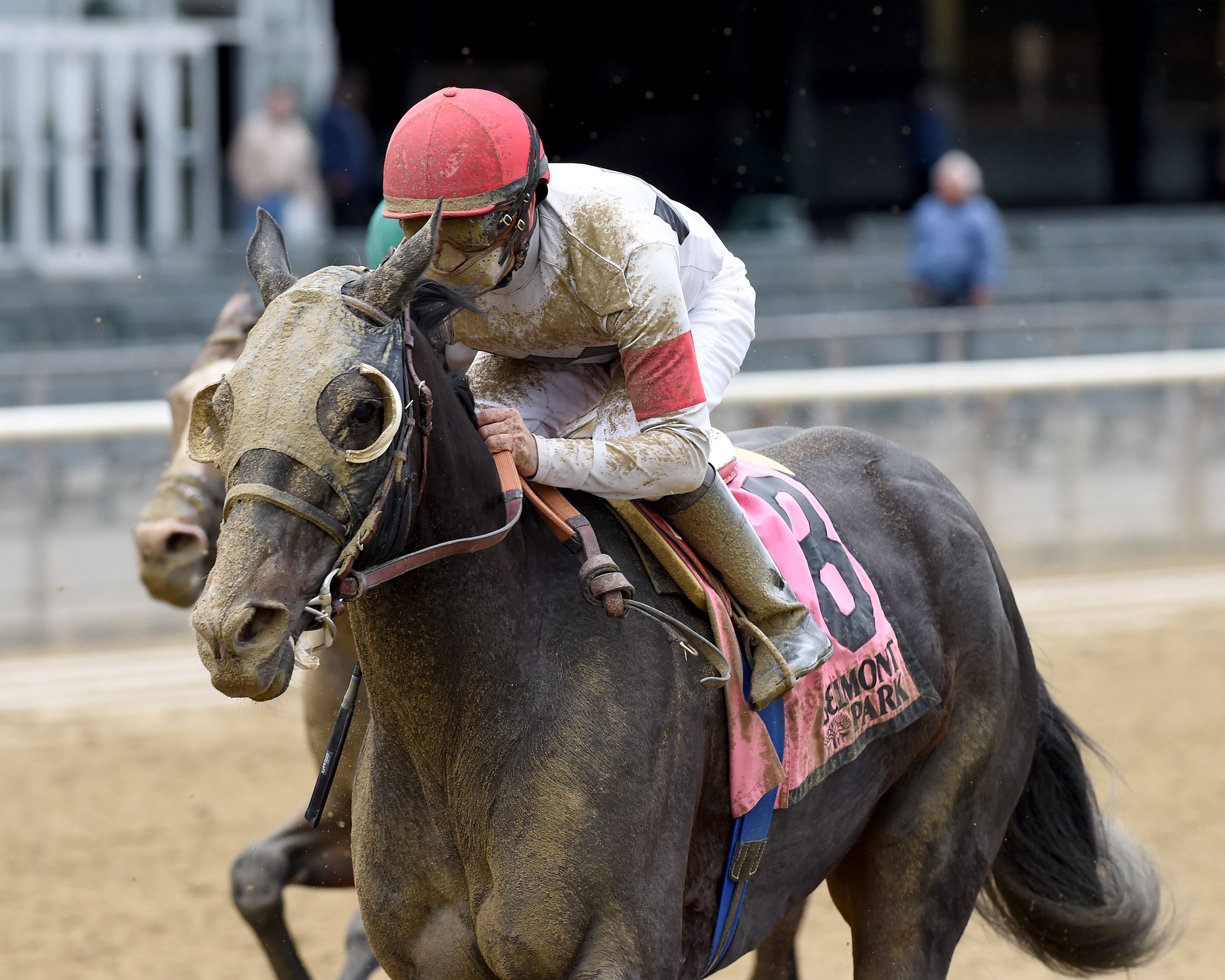 Stallwalkin' Dude 5-7-2017