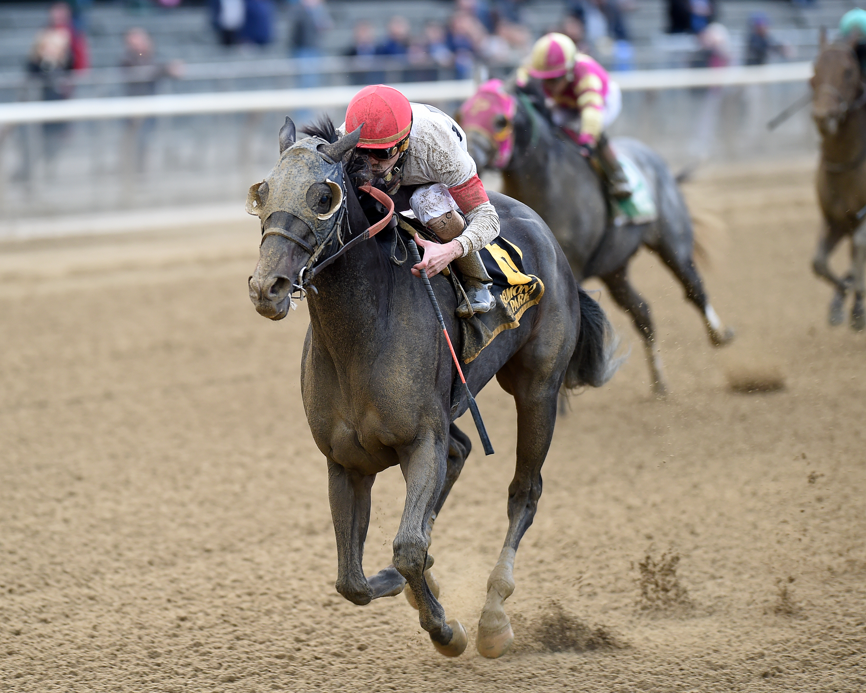 Stallwalkin' Dude 10-29-2016