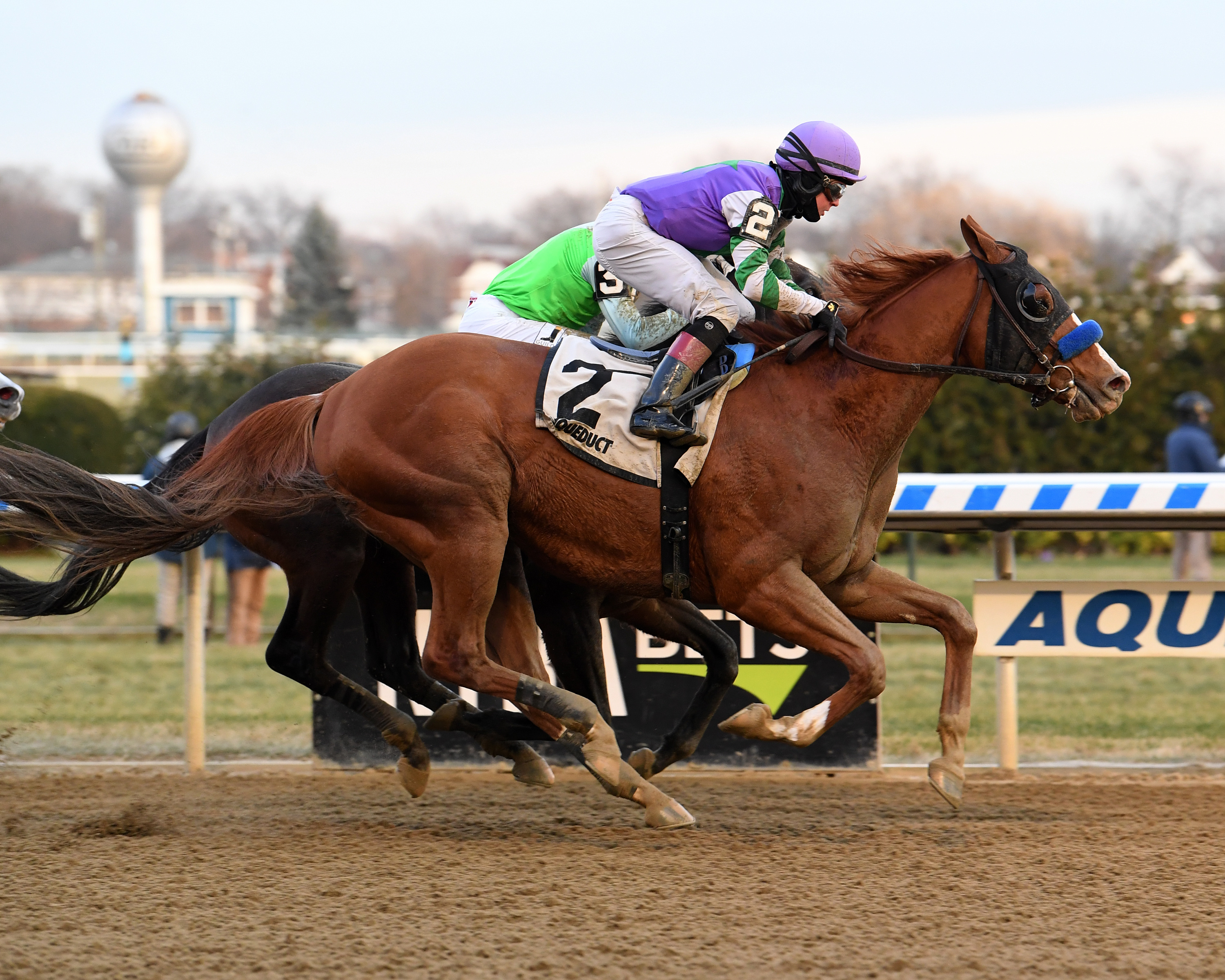 Stan the Man wins the 2019 Queens County Stakes
