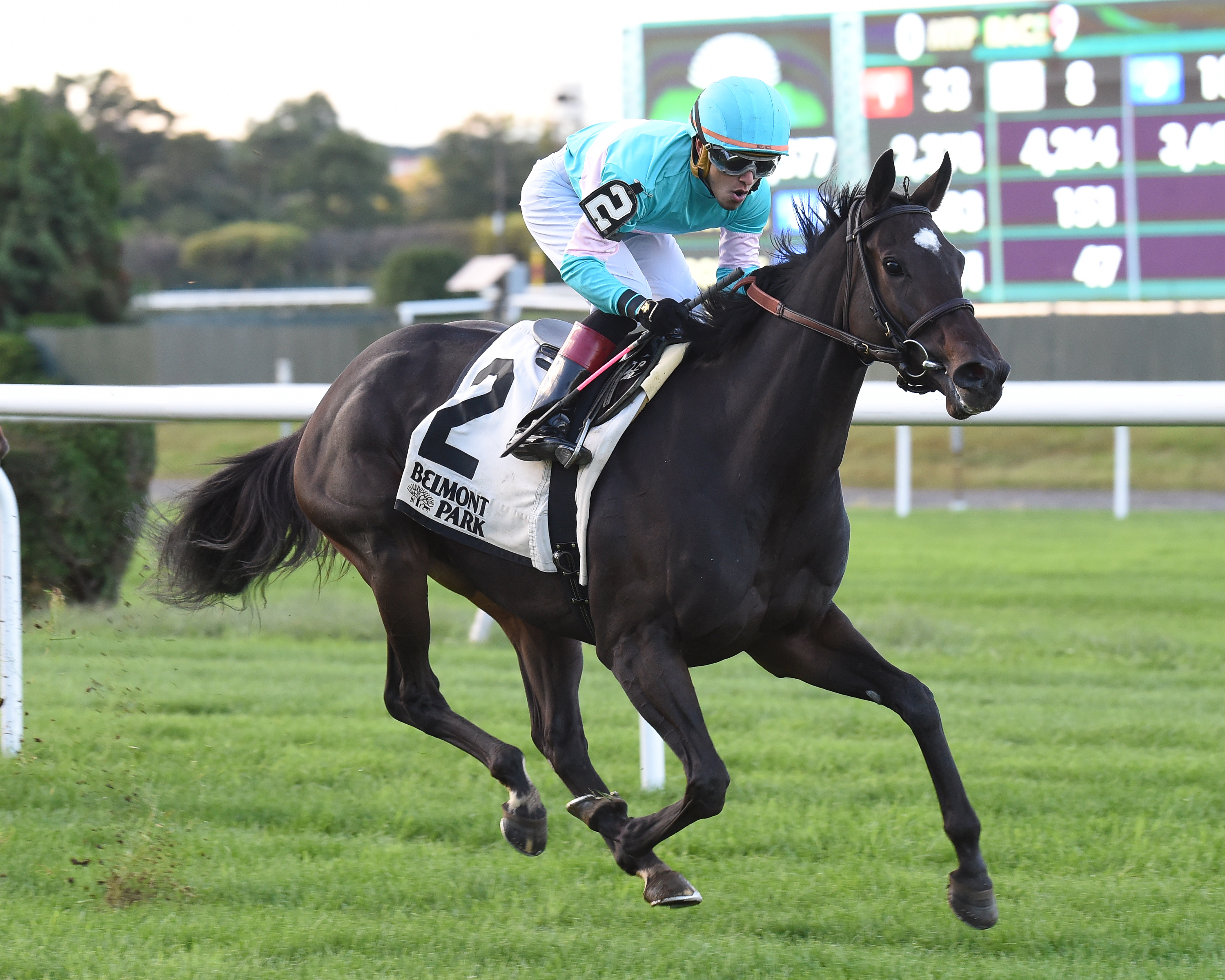 Stella di Camelot wins the 2018 Pebbles Stakes