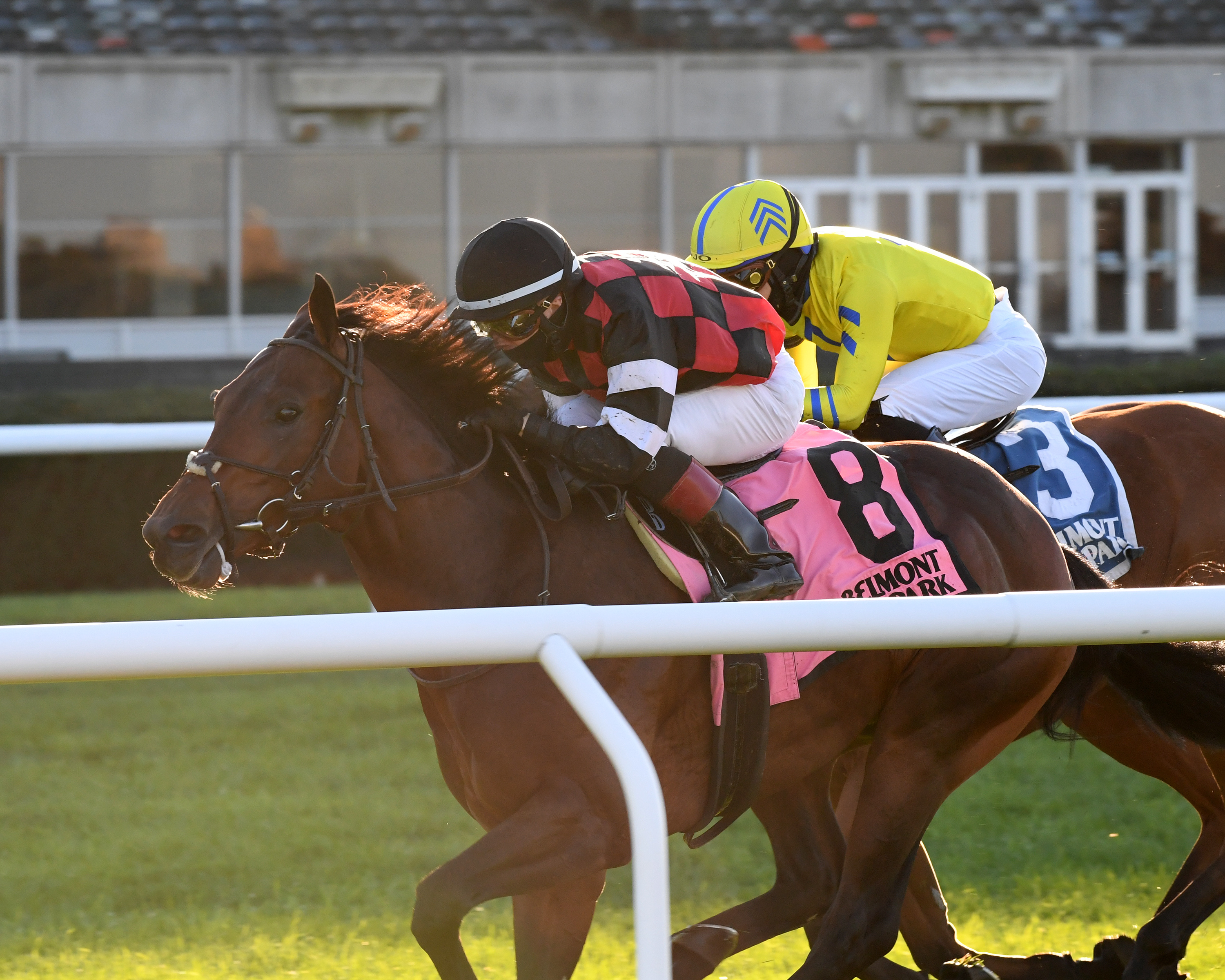 Step Dancer wins the Awad 10-31-2020