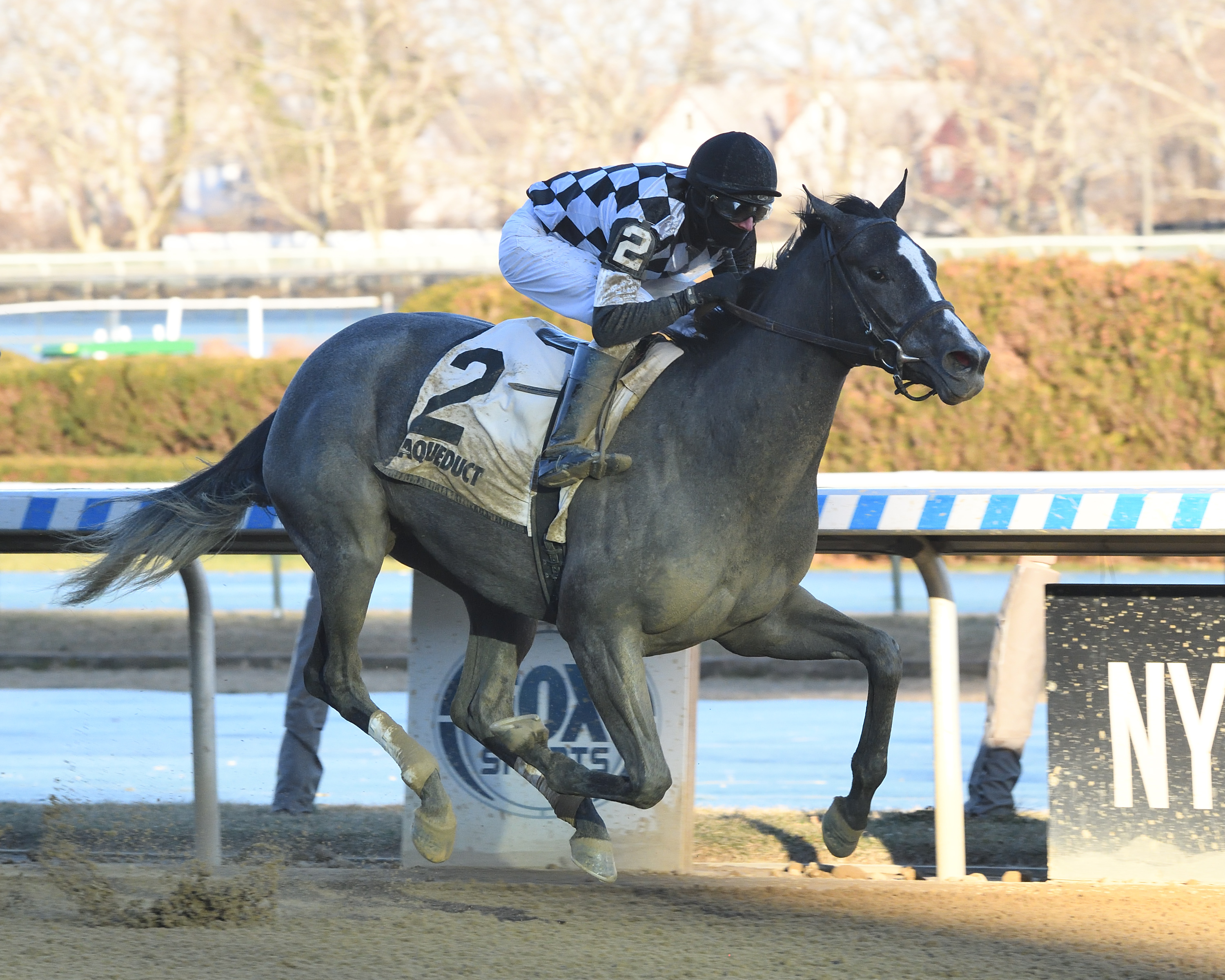 Sterling Silver wins Franklin Square 1-22-2022