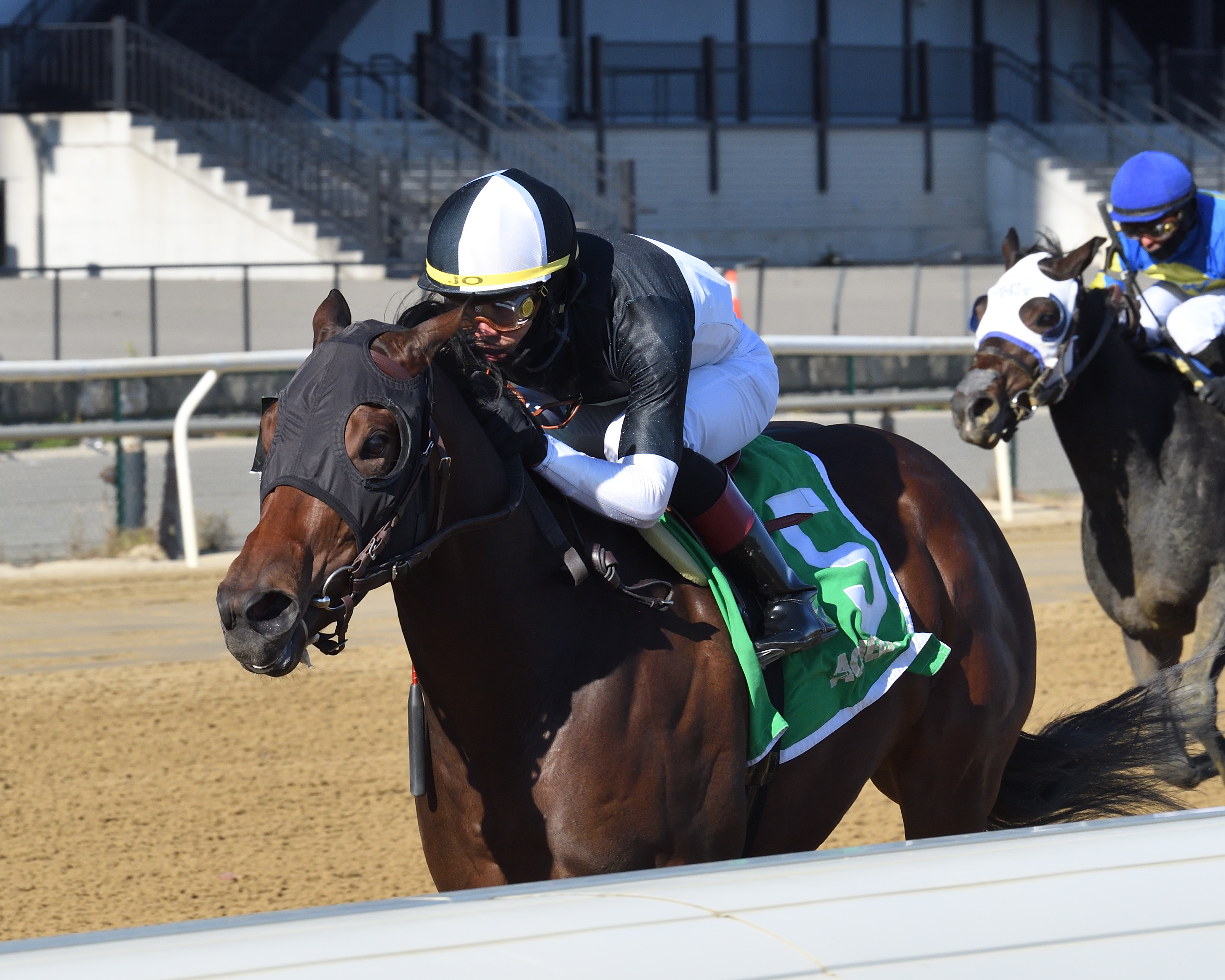Stonewall Star