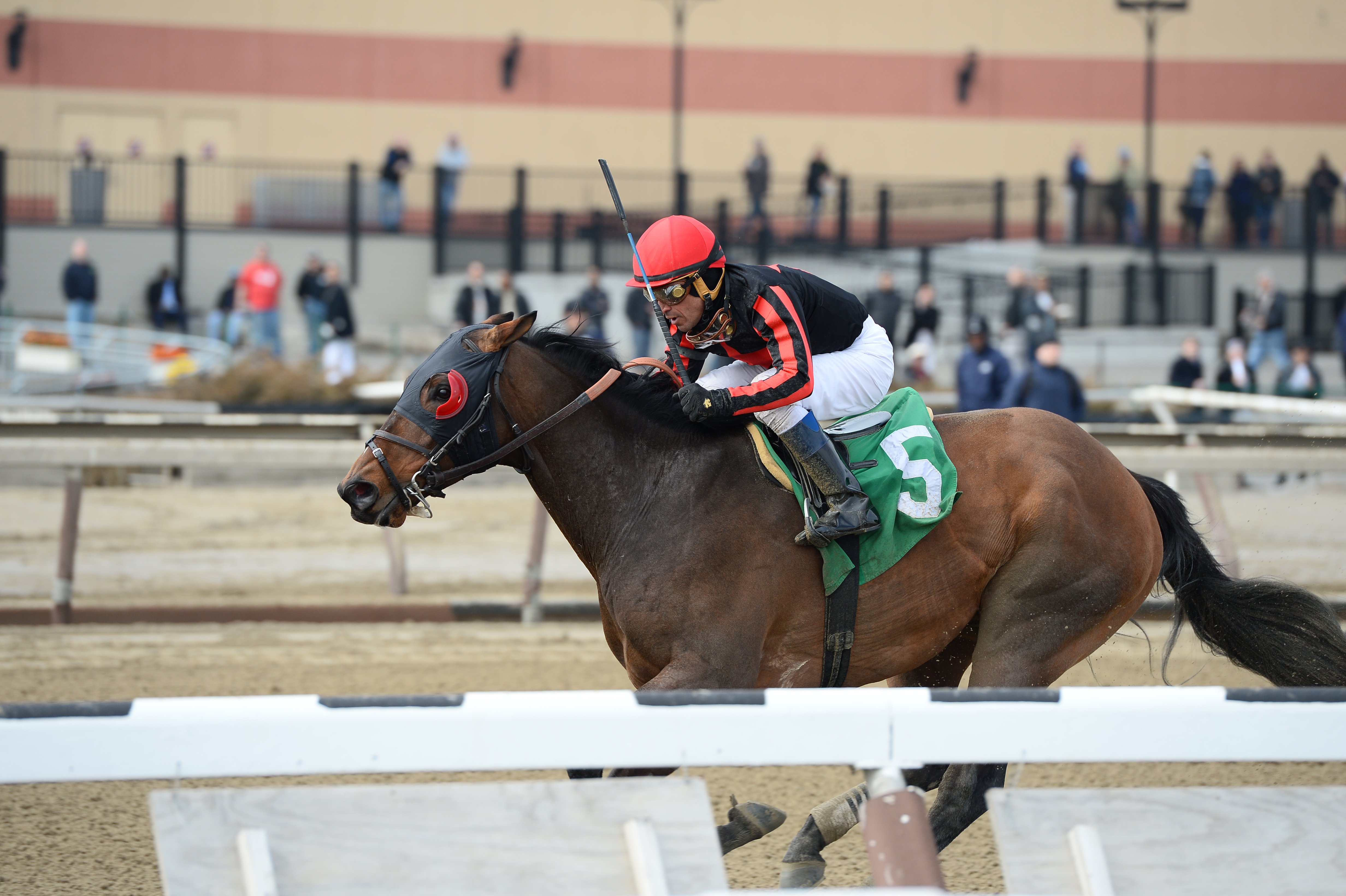 Stormin Monarcho 3-21-2015